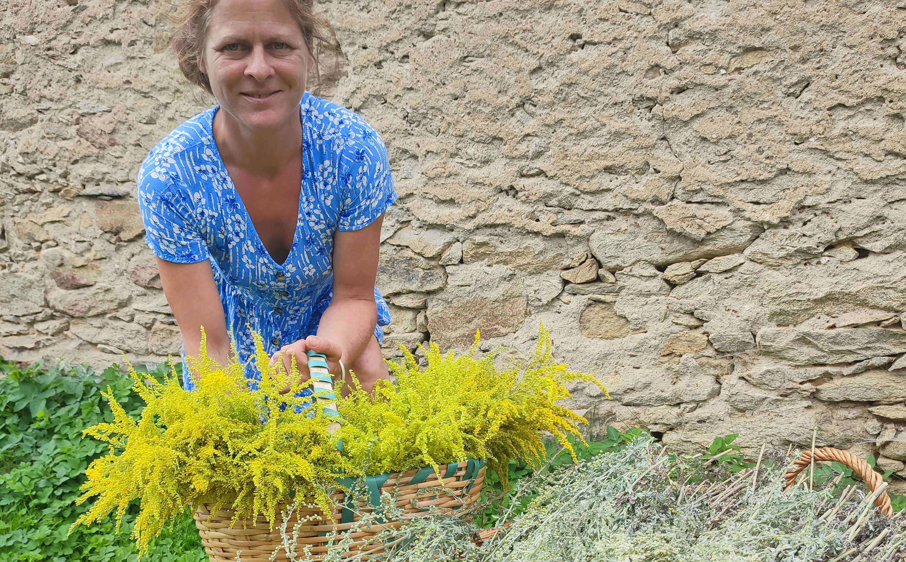 Povídání o bylinkách