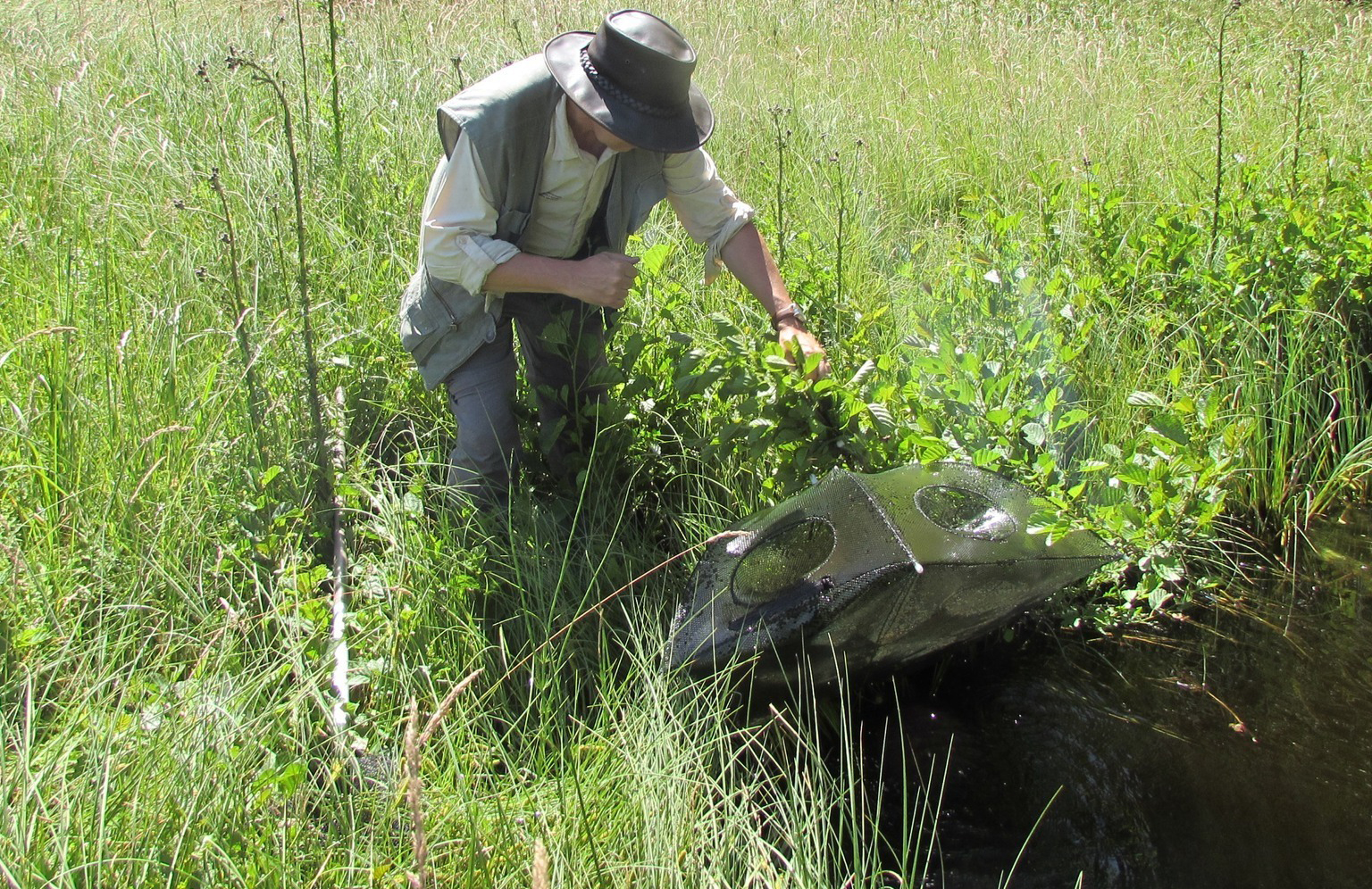 CHKO Vlašim a tůně