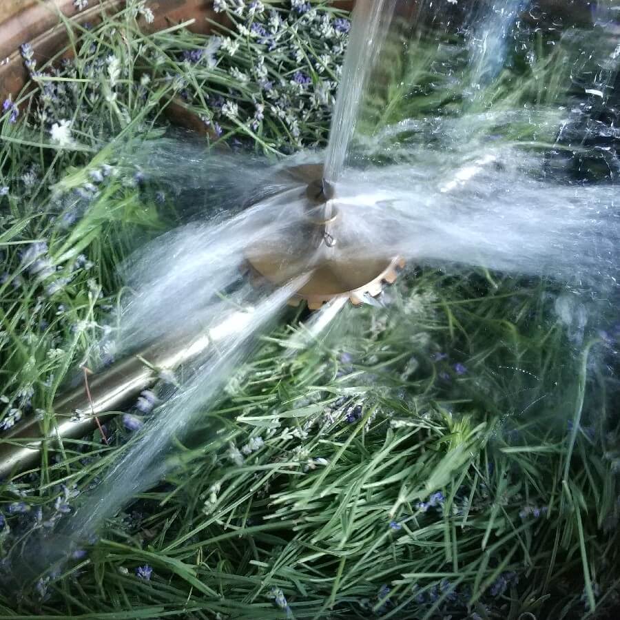 Květová voda z BIO levandule 100 ml VÝPRODEJ