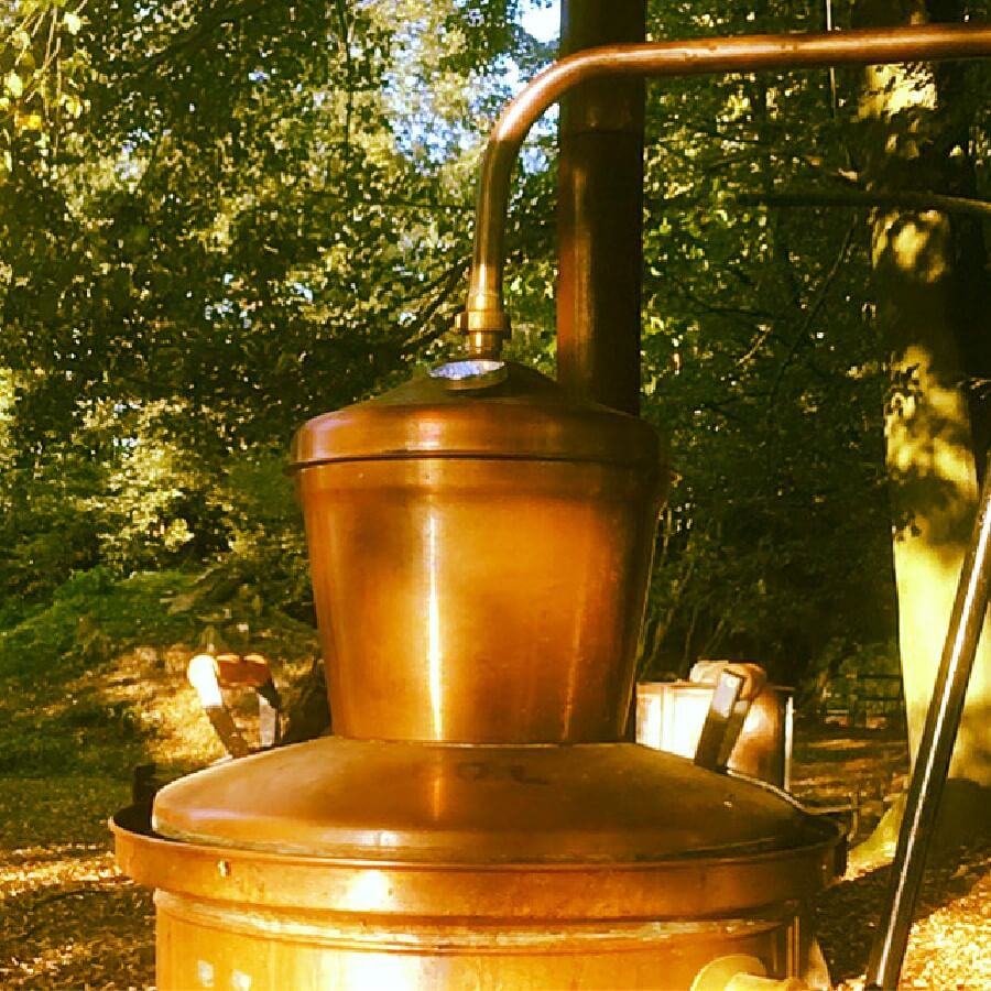 Květová voda z BIO máty VÝPRODEJ