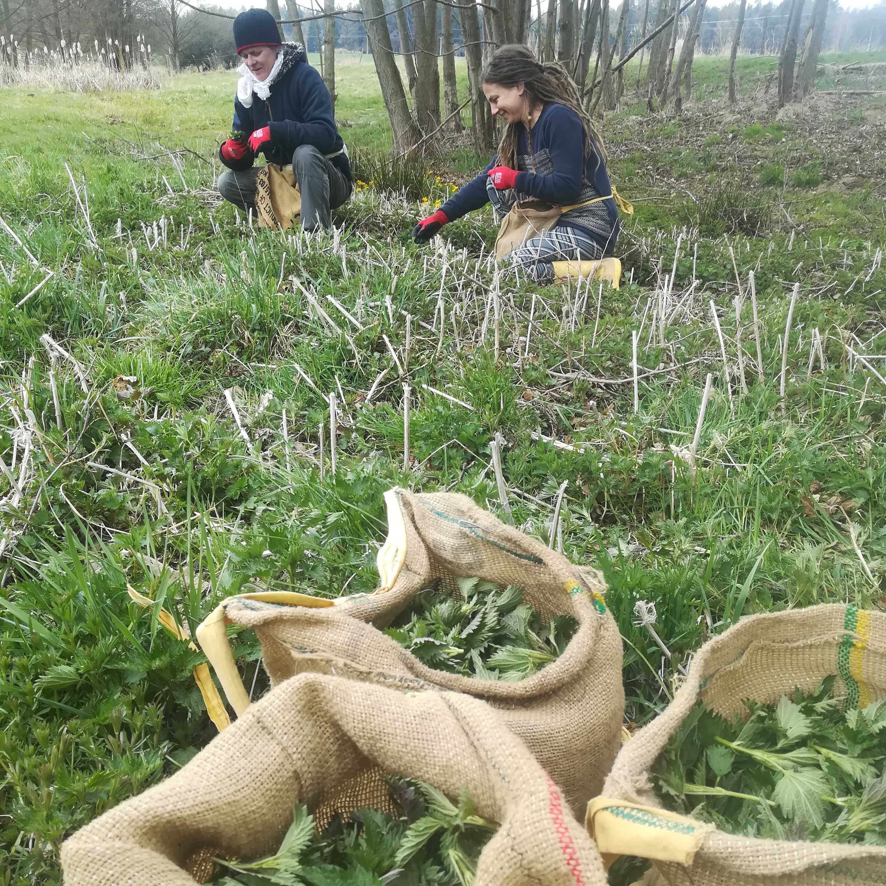 Magie přirozené krásy