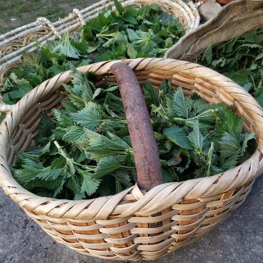 Květová voda z BIO kopřivy 2 l