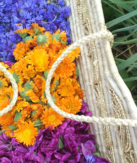 Založ si bylinkovou farmu