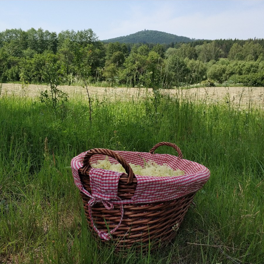 Magie štíhlé postavy