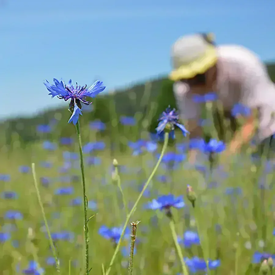 Bylinkový dárkový poukaz 5000 Kč