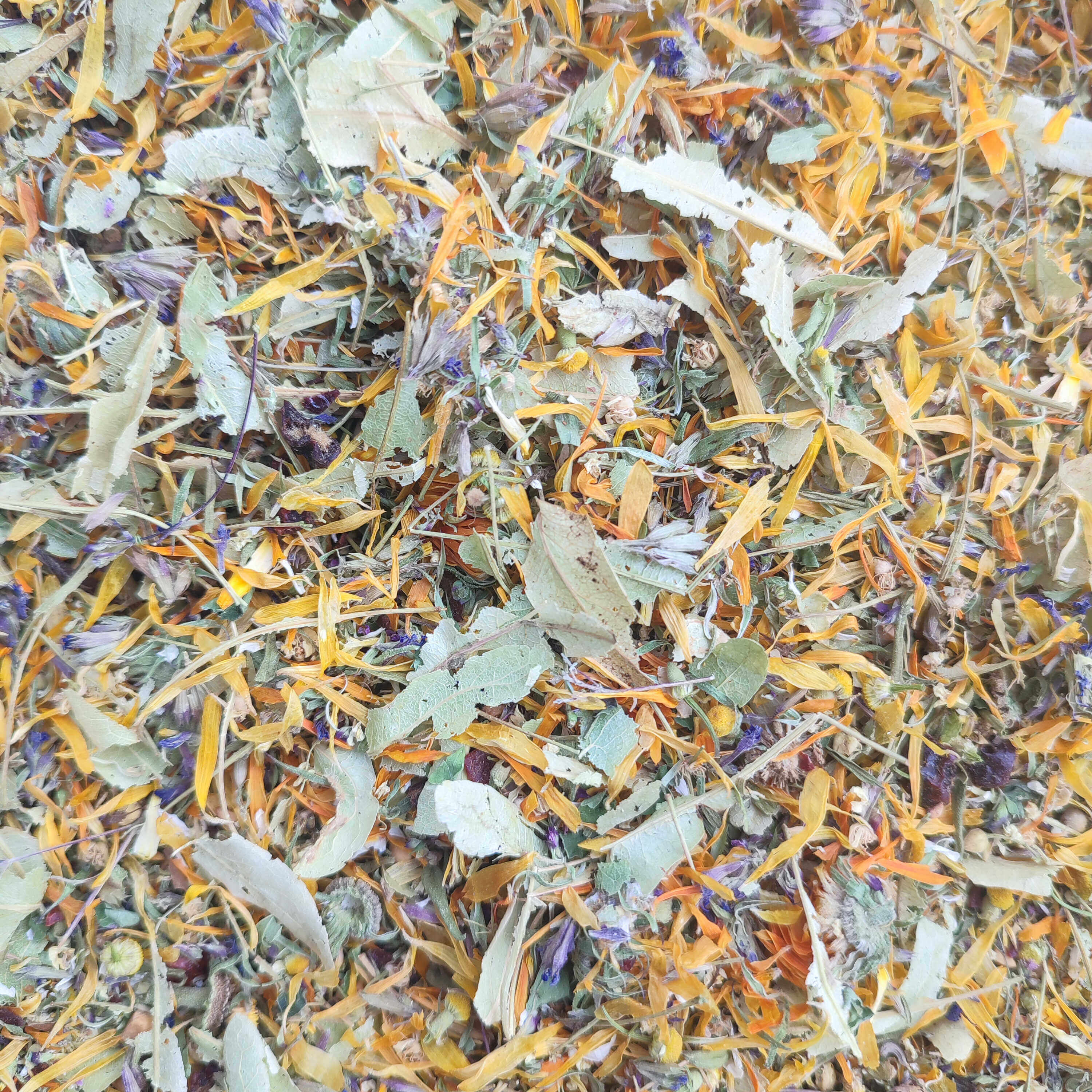 Magie dobrého dýchání