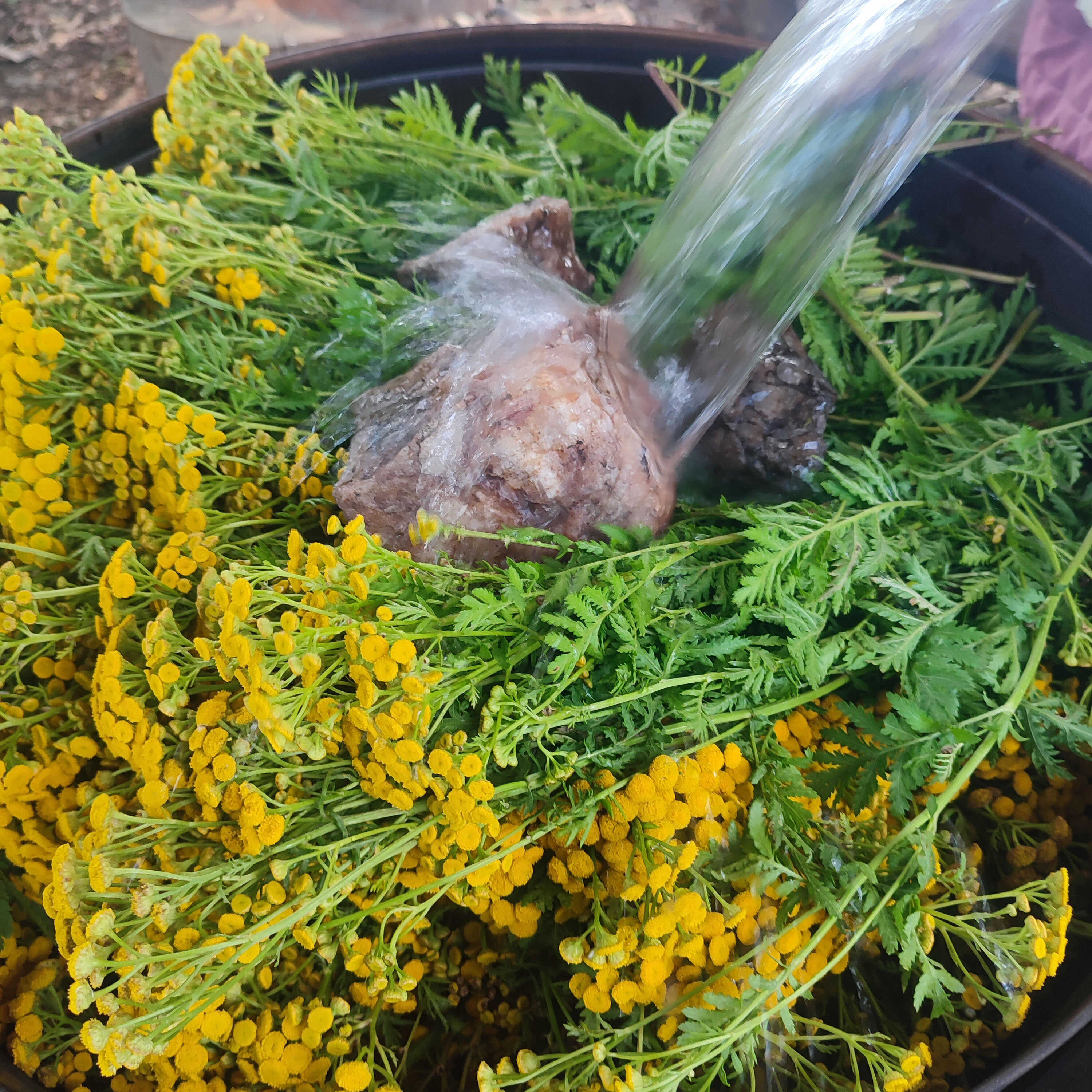 Květová voda z BIO vratiče 100 ml VÝPRODEJ