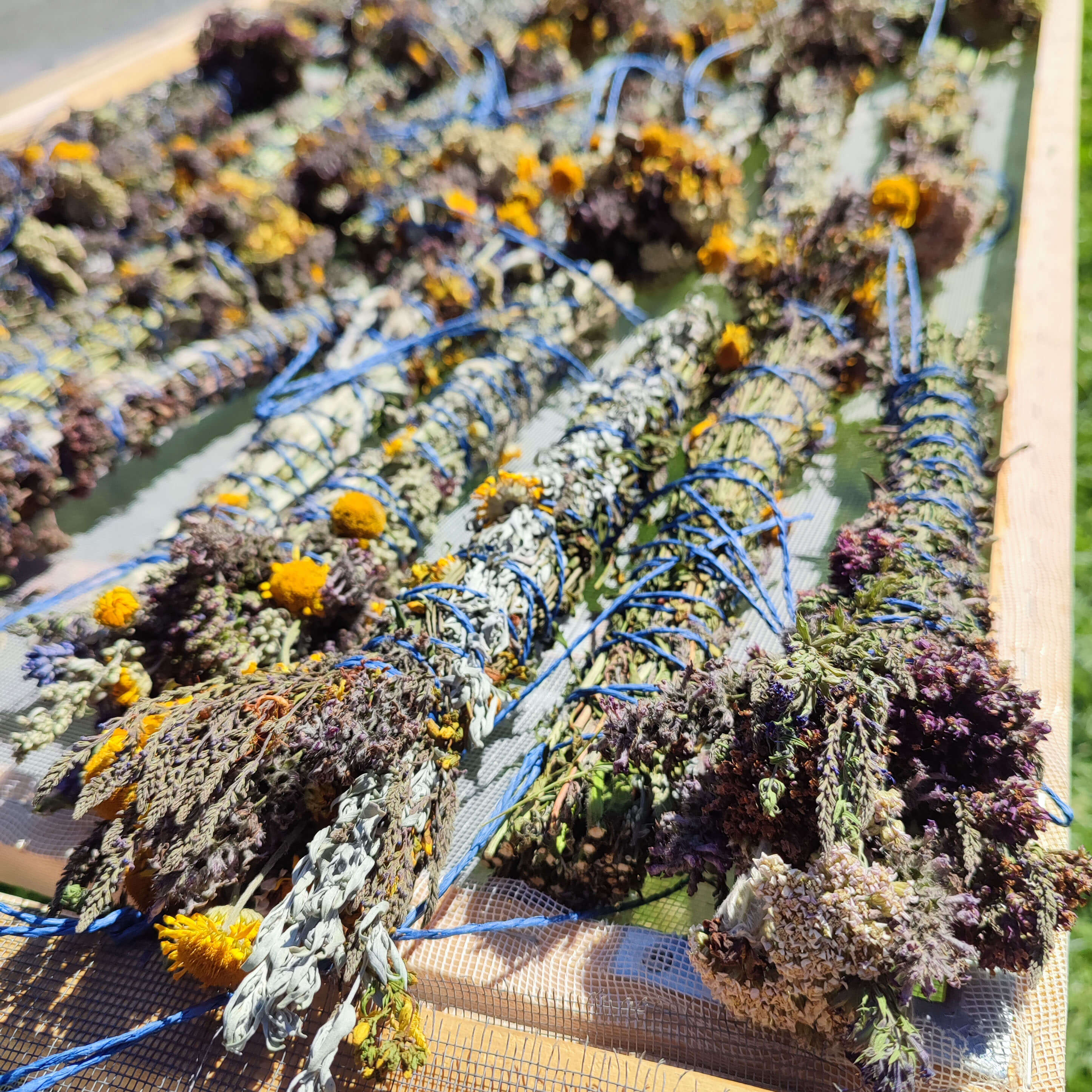 Vykuřovací svazek sedm bylin s kyvadlem - růženín