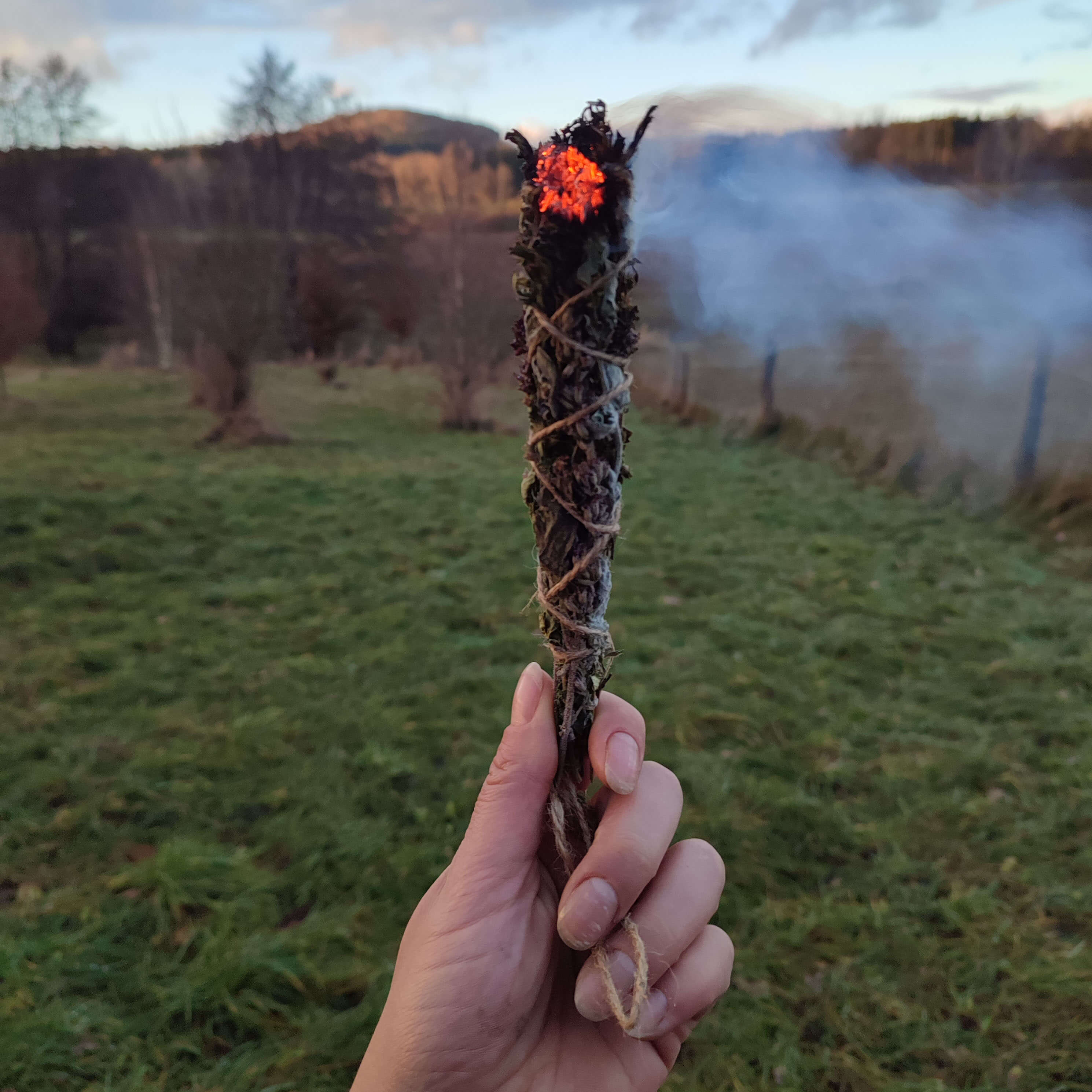 Vykuřovací svazek sedm bylin s kyvadlem - růženín